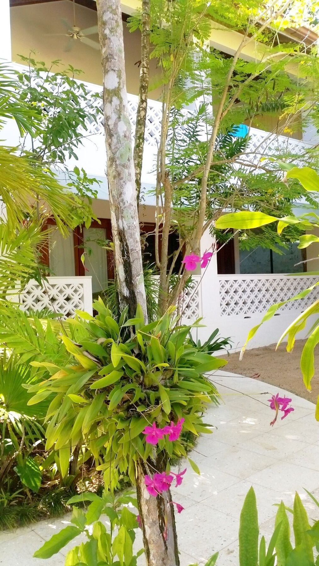 Idle Awhile Resort Negril Luaran gambar