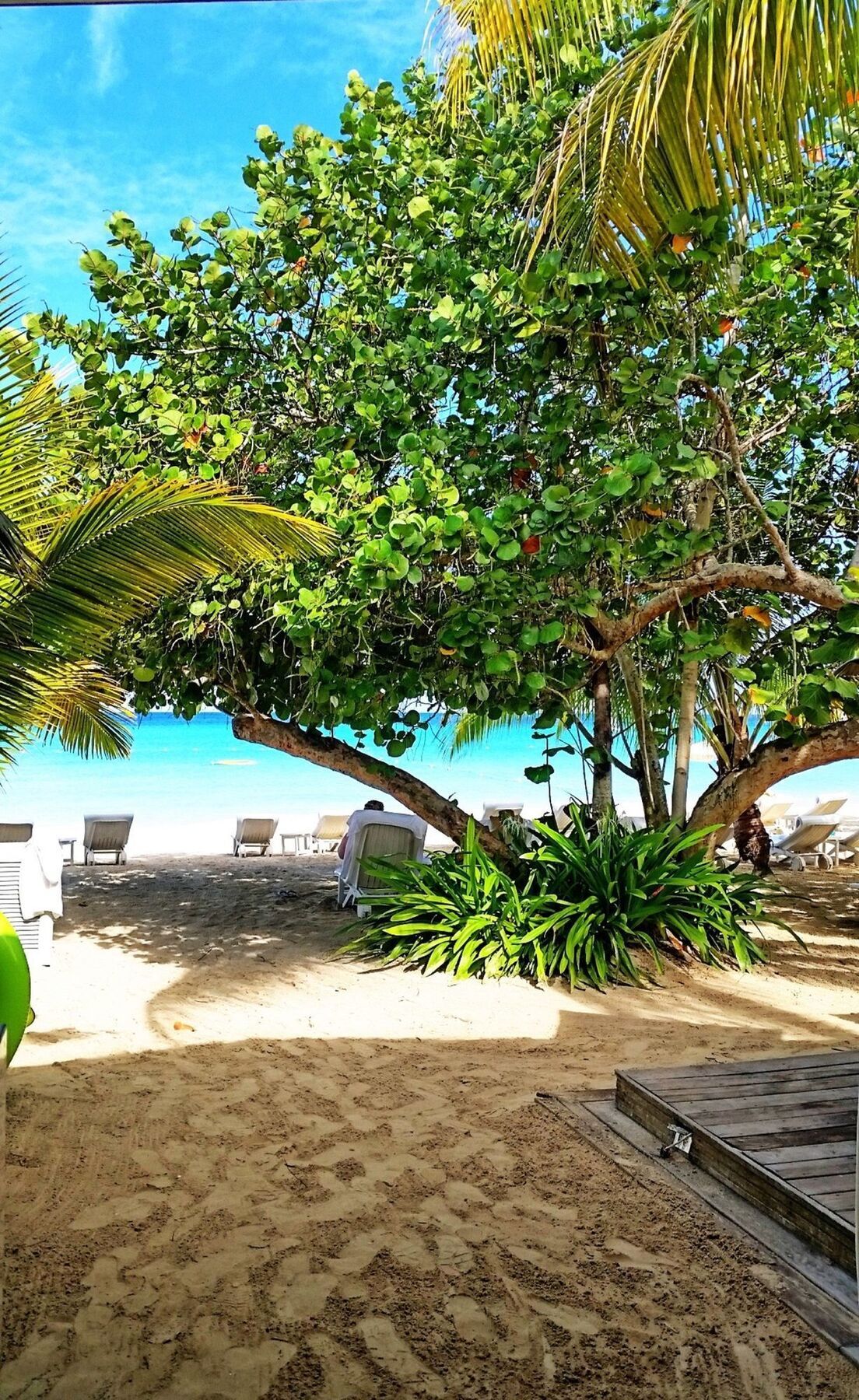 Idle Awhile Resort Negril Luaran gambar